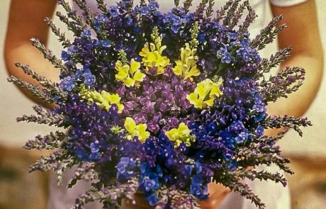 Margaret Roberts lavender bouquet boutique